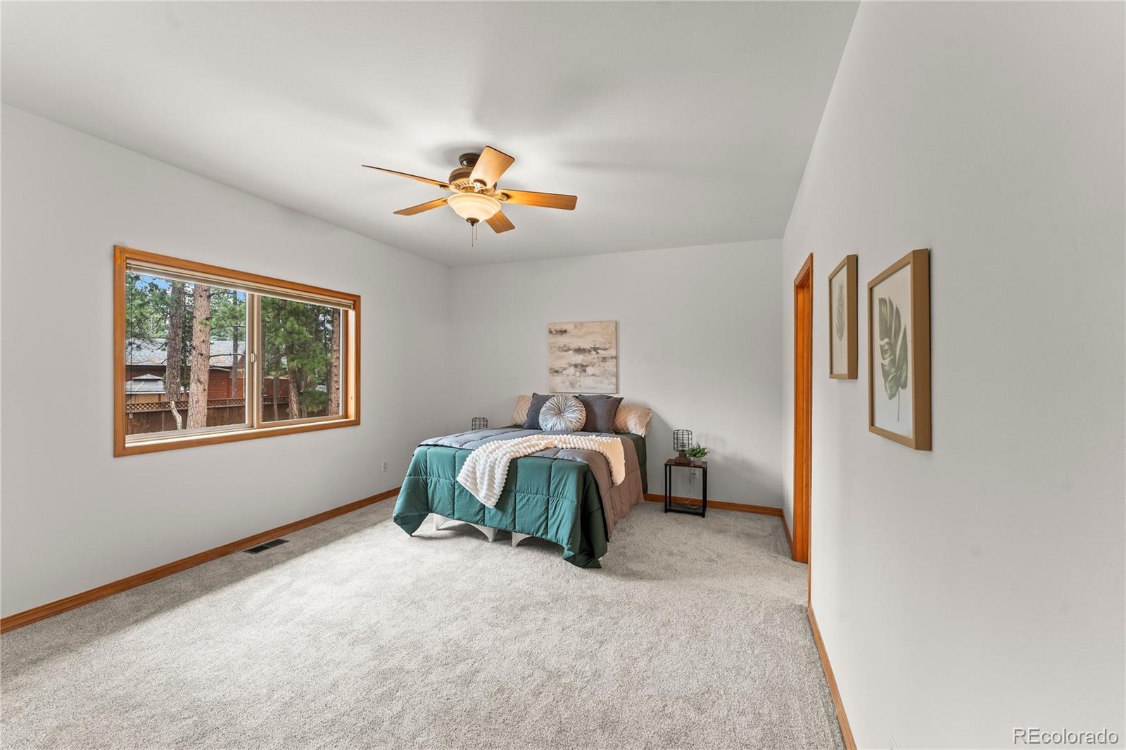 MLS Image #14 for 113  flagstick drive,woodland park, Colorado