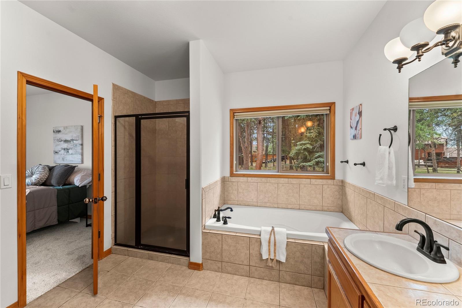 MLS Image #16 for 113  flagstick drive,woodland park, Colorado