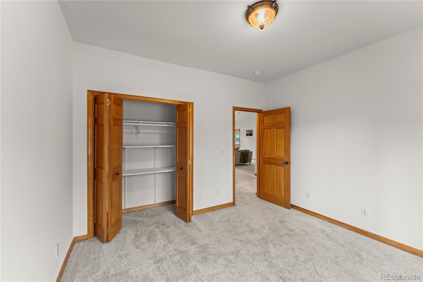 MLS Image #20 for 113  flagstick drive,woodland park, Colorado