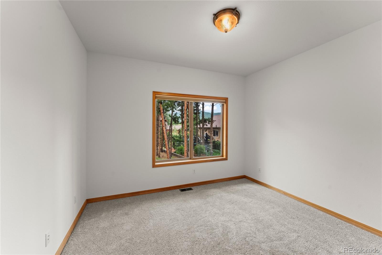 MLS Image #21 for 113  flagstick drive,woodland park, Colorado