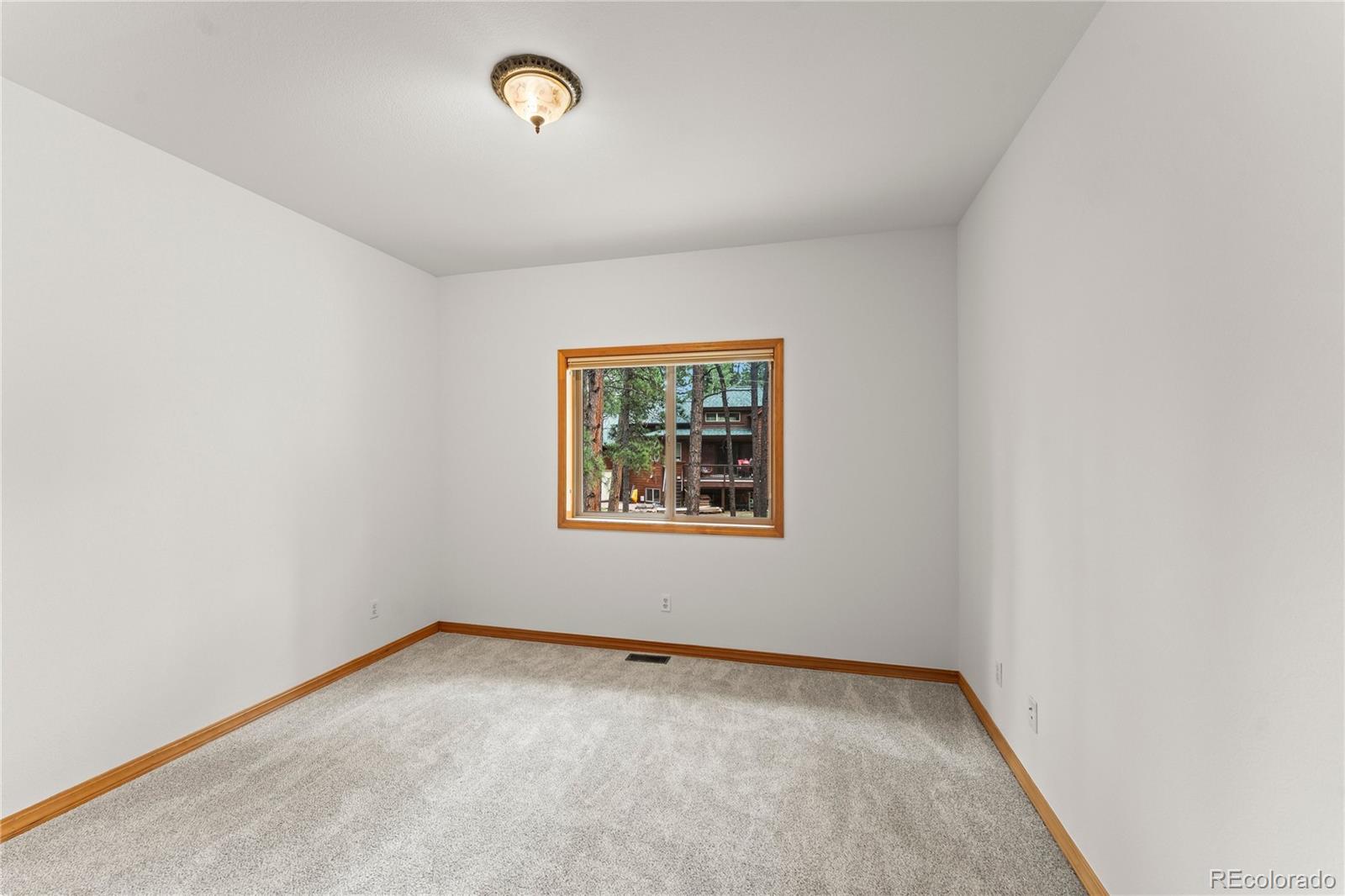 MLS Image #24 for 113  flagstick drive,woodland park, Colorado