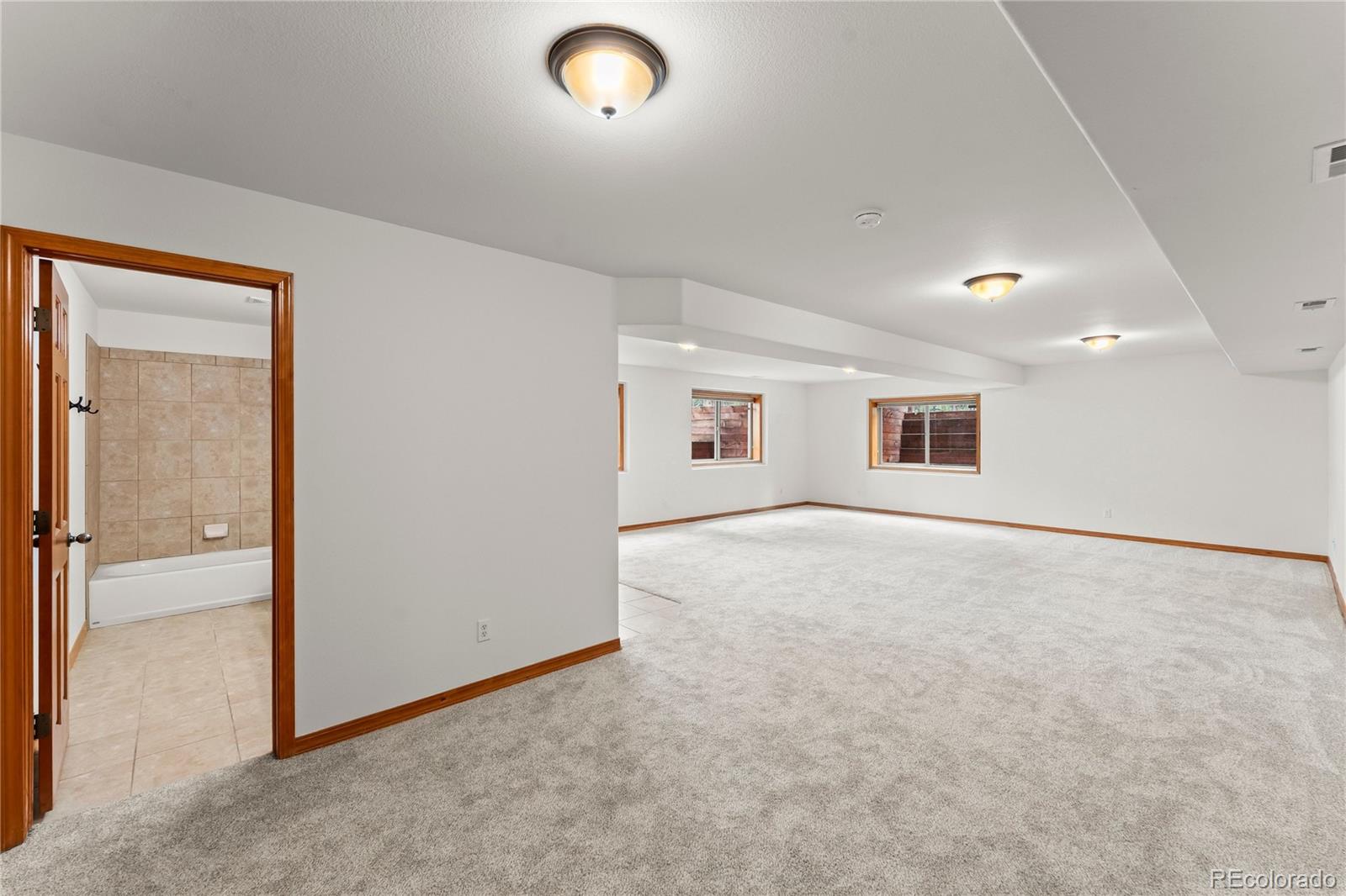 MLS Image #25 for 113  flagstick drive,woodland park, Colorado