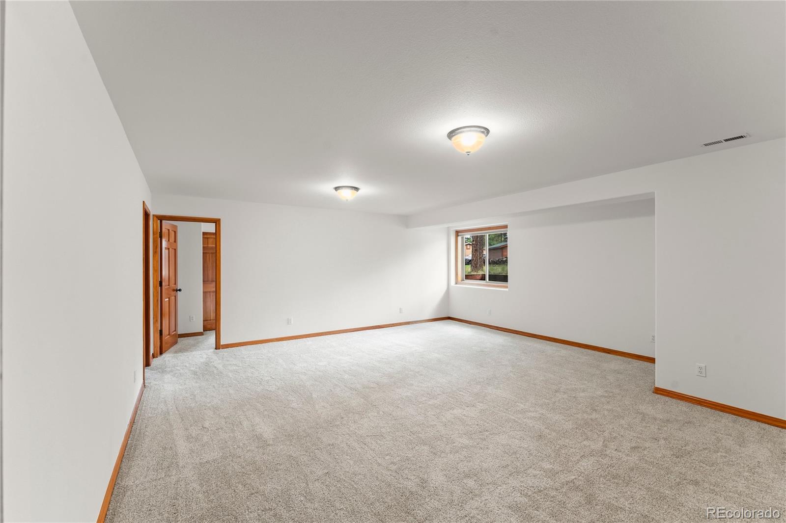 MLS Image #30 for 113  flagstick drive,woodland park, Colorado
