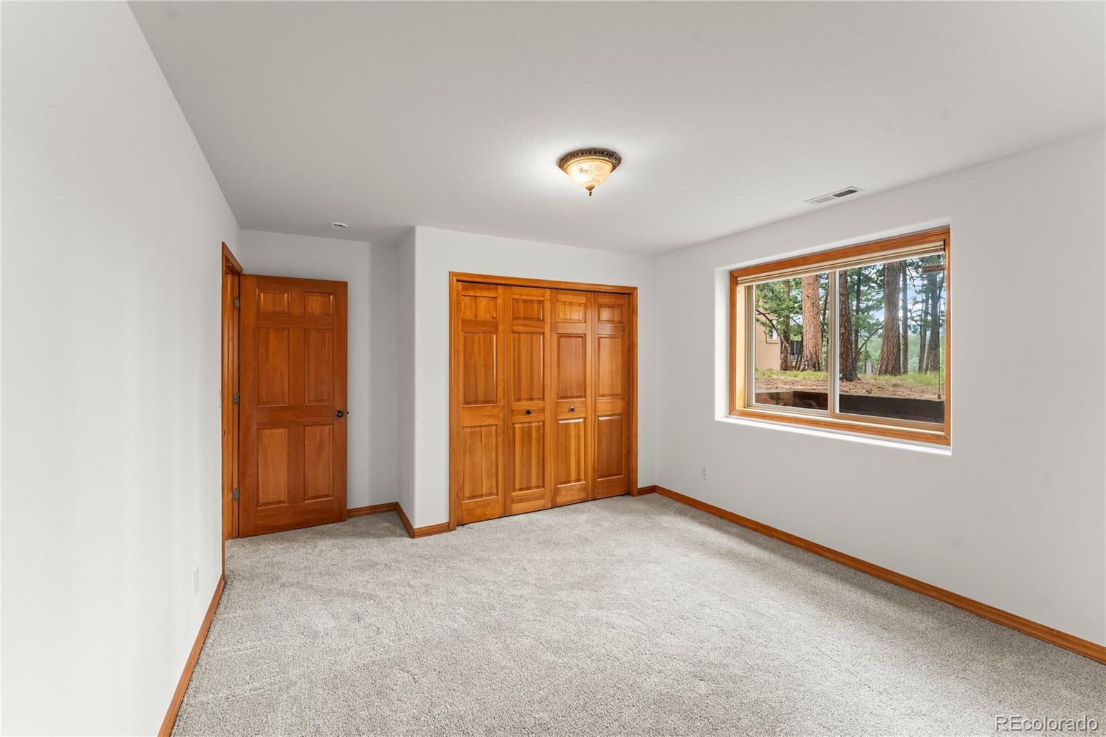 MLS Image #32 for 113  flagstick drive,woodland park, Colorado