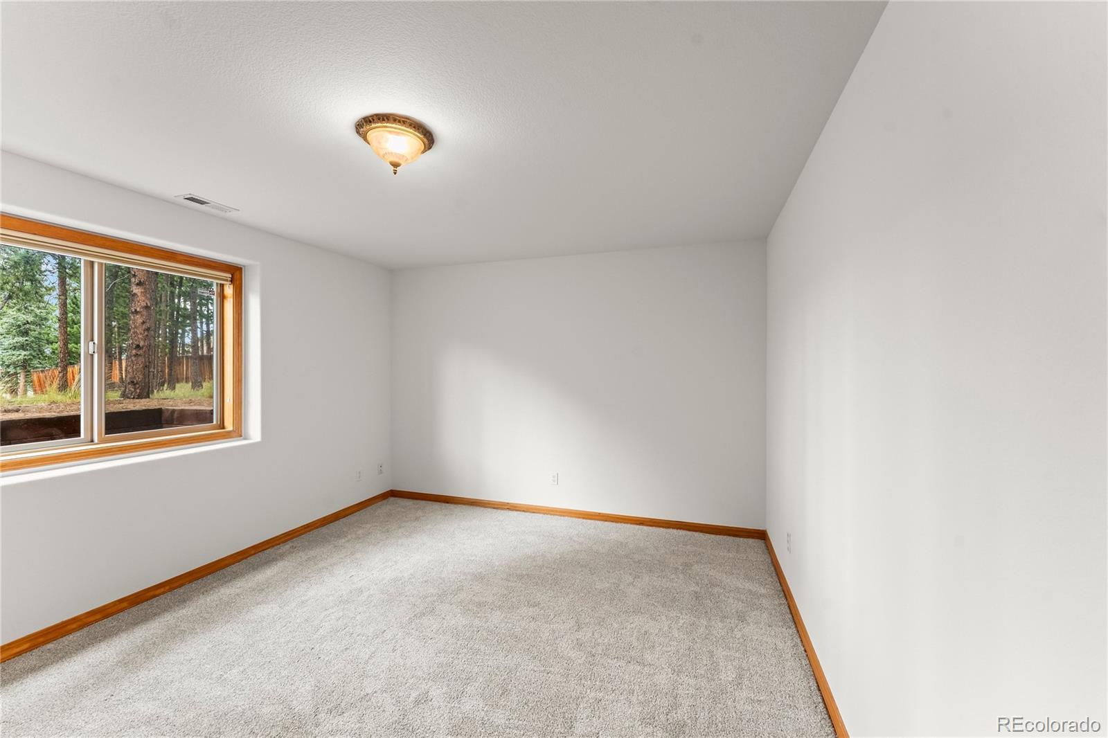MLS Image #33 for 113  flagstick drive,woodland park, Colorado