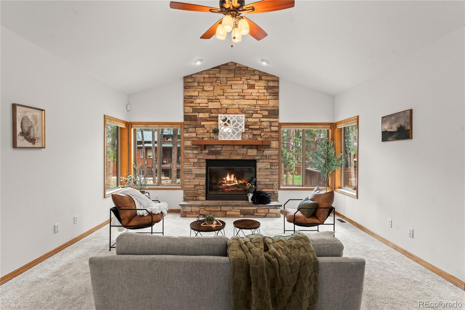 MLS Image #6 for 113  flagstick drive,woodland park, Colorado