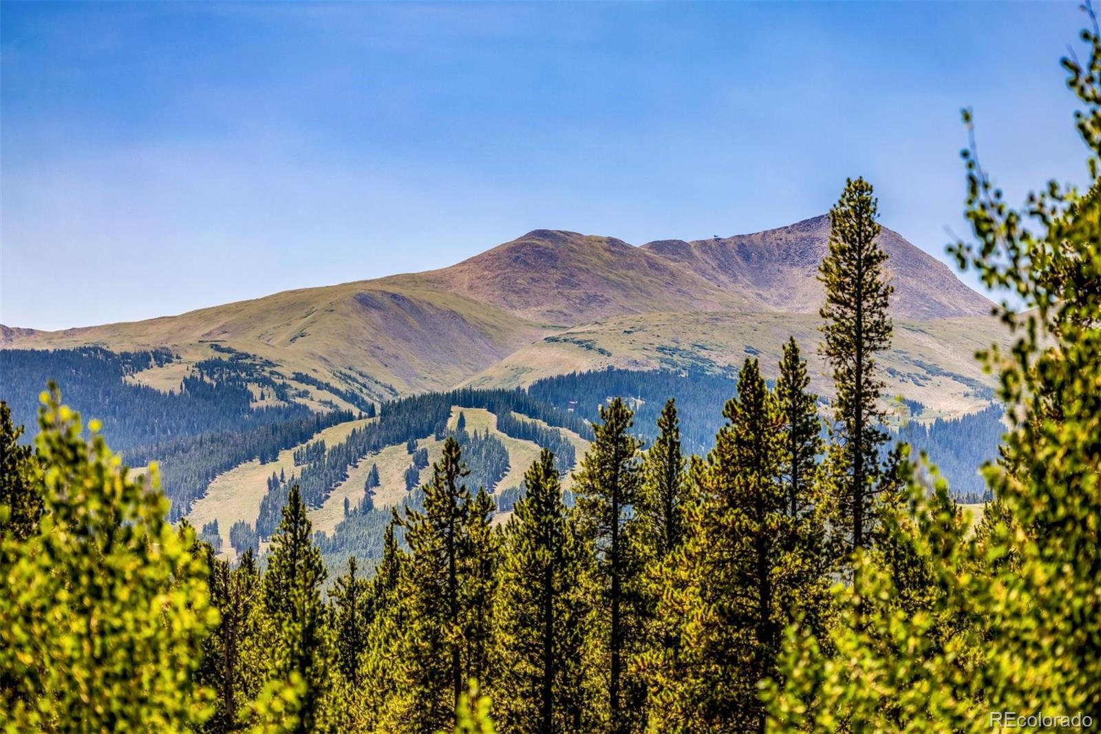 MLS Image #44 for 345  peerless drive,breckenridge, Colorado