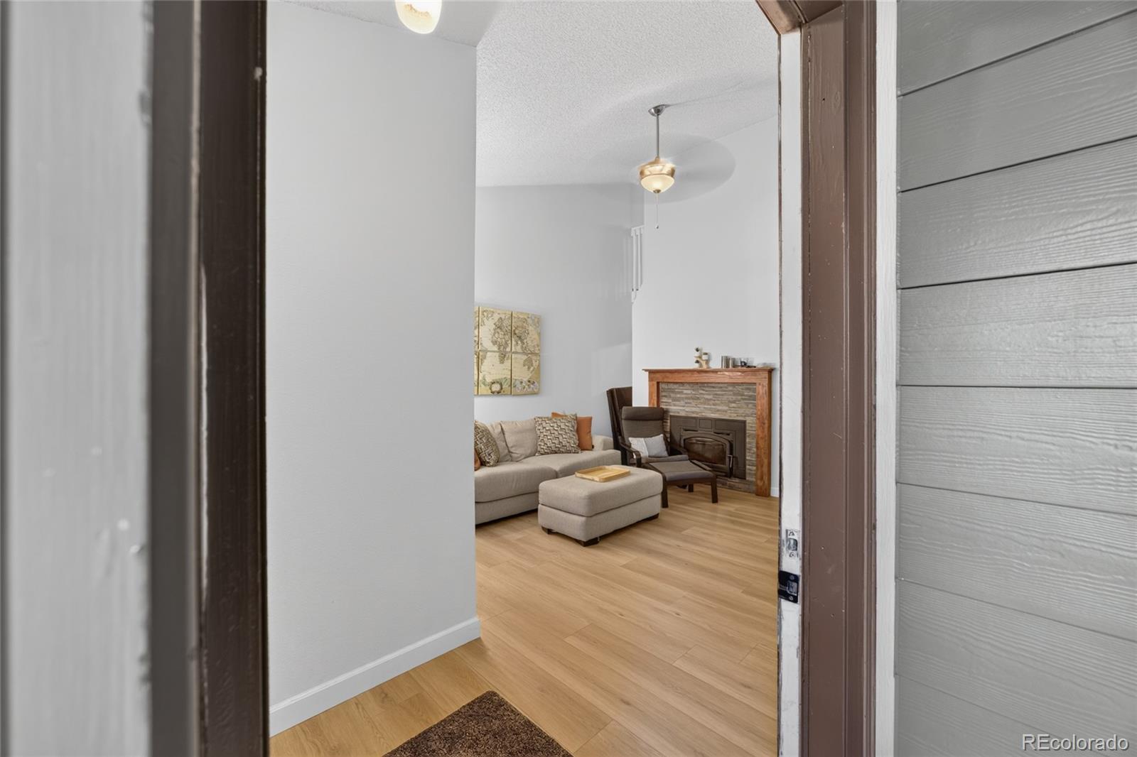 MLS Image #2 for 540 s forest street,denver, Colorado
