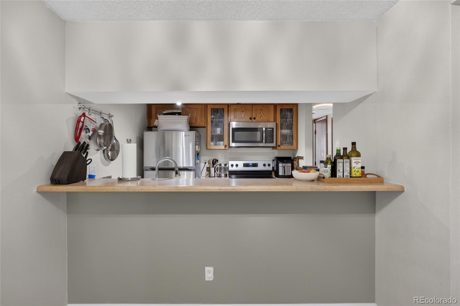 MLS Image #9 for 540 s forest street,denver, Colorado
