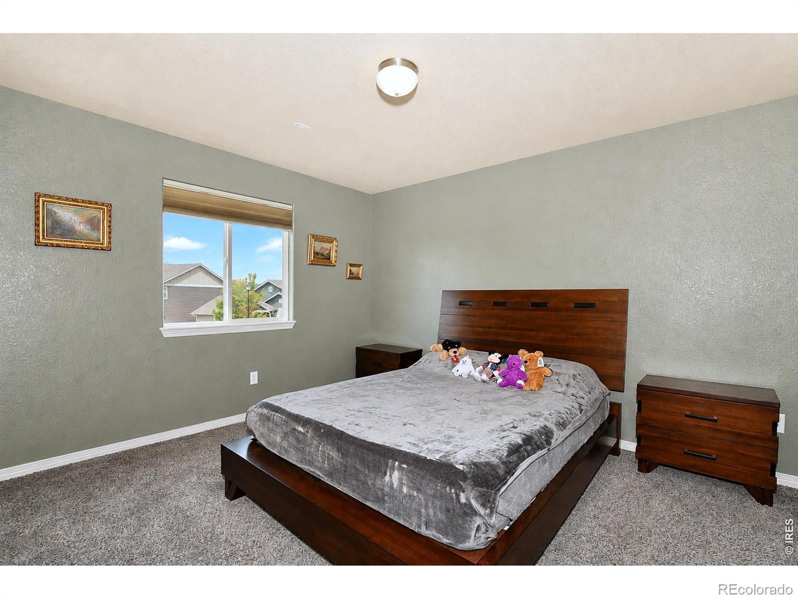 MLS Image #20 for 5847  osbourne court,windsor, Colorado