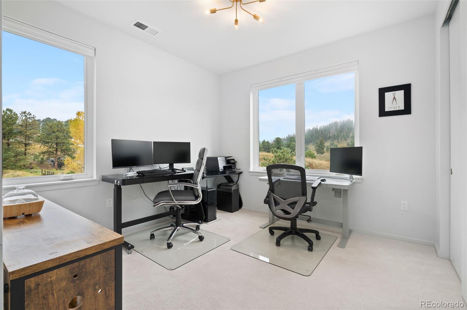 MLS Image #24 for 31161  black eagle drive,evergreen, Colorado