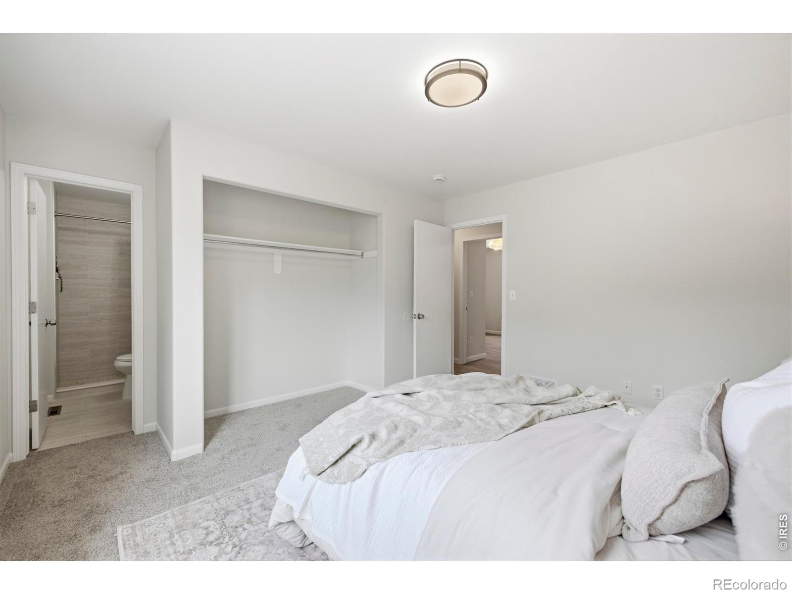 MLS Image #14 for 4199  cripple creek drive,loveland, Colorado