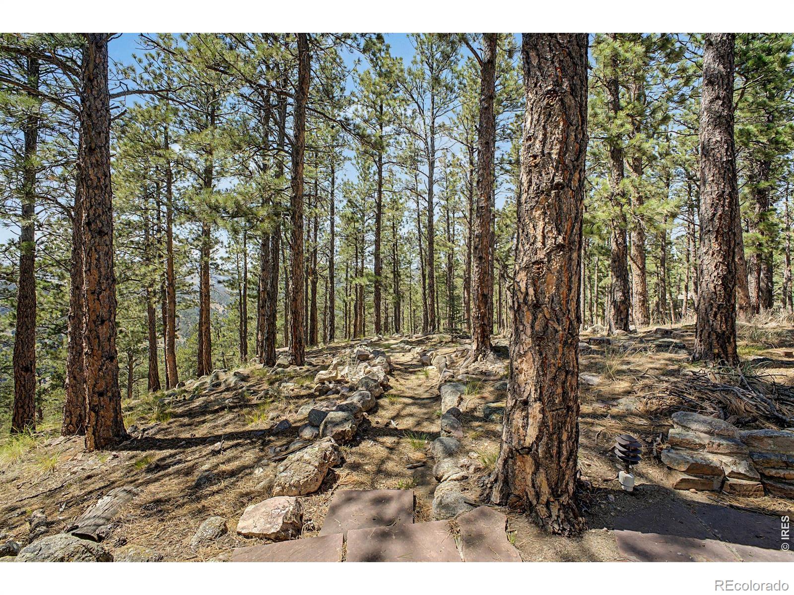 MLS Image #26 for 419  wild horse circle,boulder, Colorado