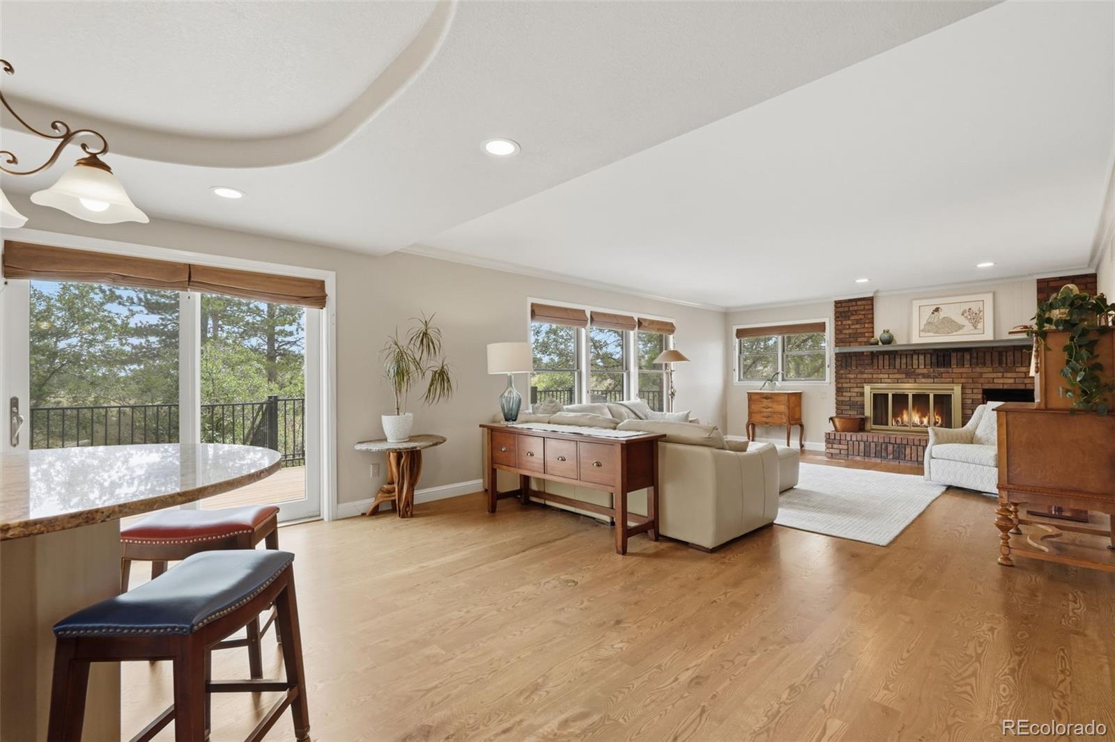 MLS Image #10 for 9302 n heather drive,castle rock, Colorado
