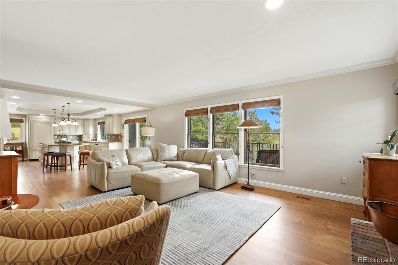 MLS Image #12 for 9302 n heather drive,castle rock, Colorado