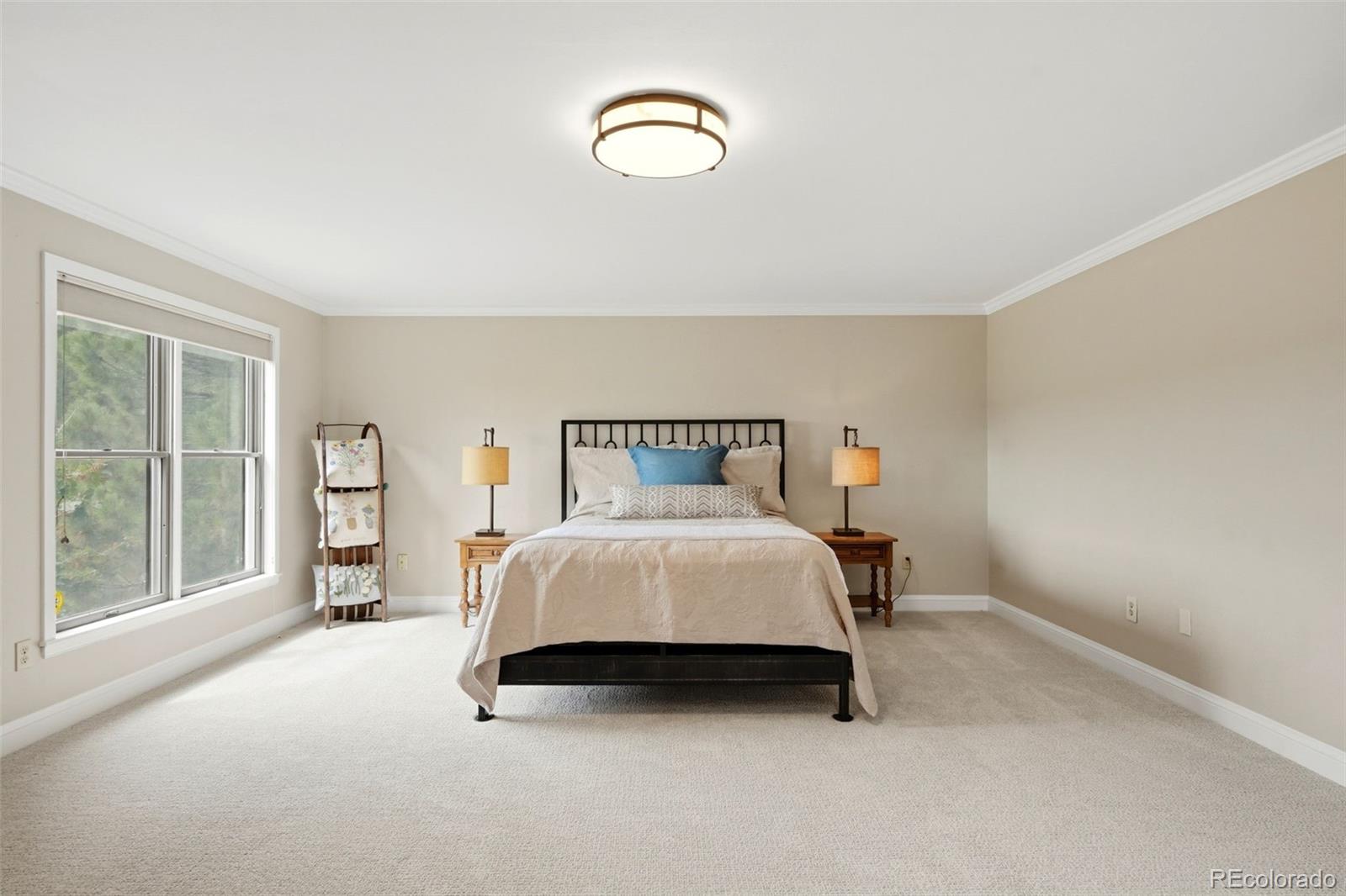 MLS Image #22 for 9302 n heather drive,castle rock, Colorado