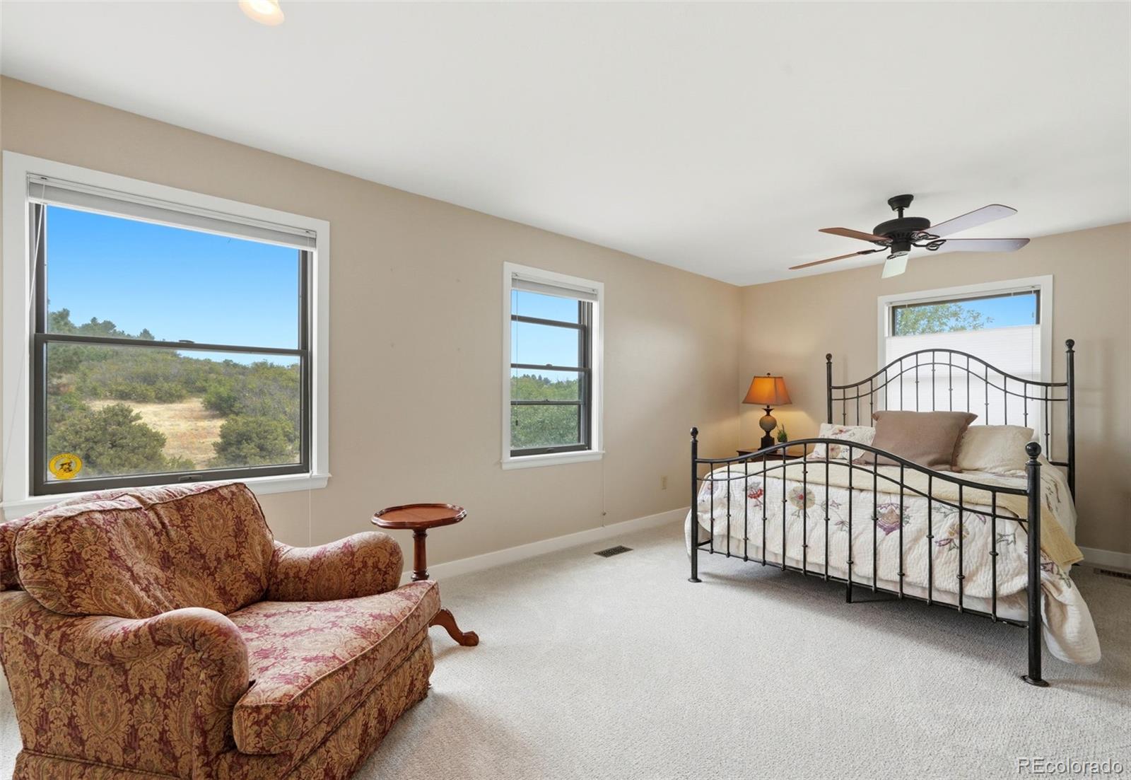 MLS Image #32 for 9302 n heather drive,castle rock, Colorado