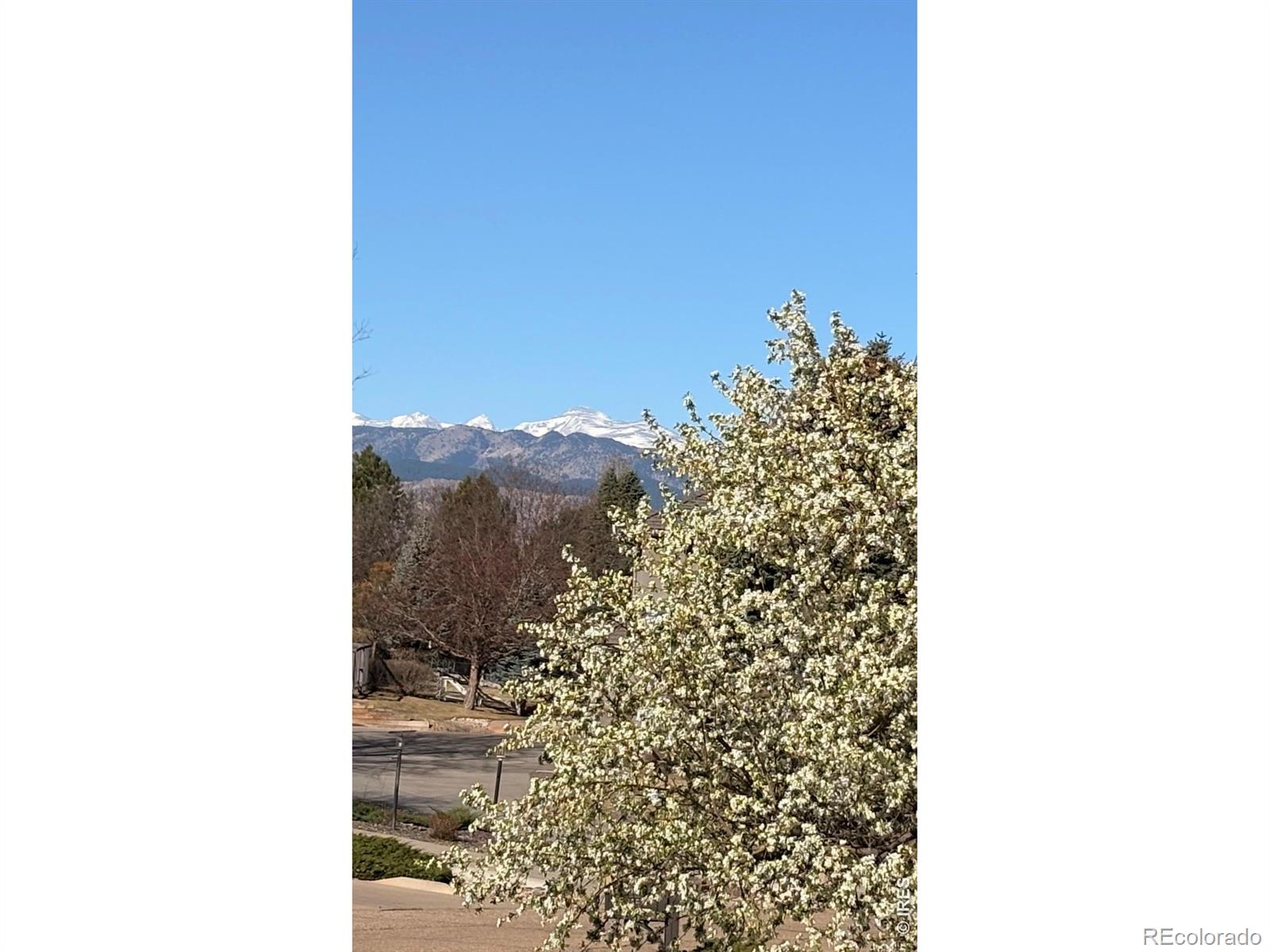 MLS Image #42 for 8589  skyland drive,niwot, Colorado