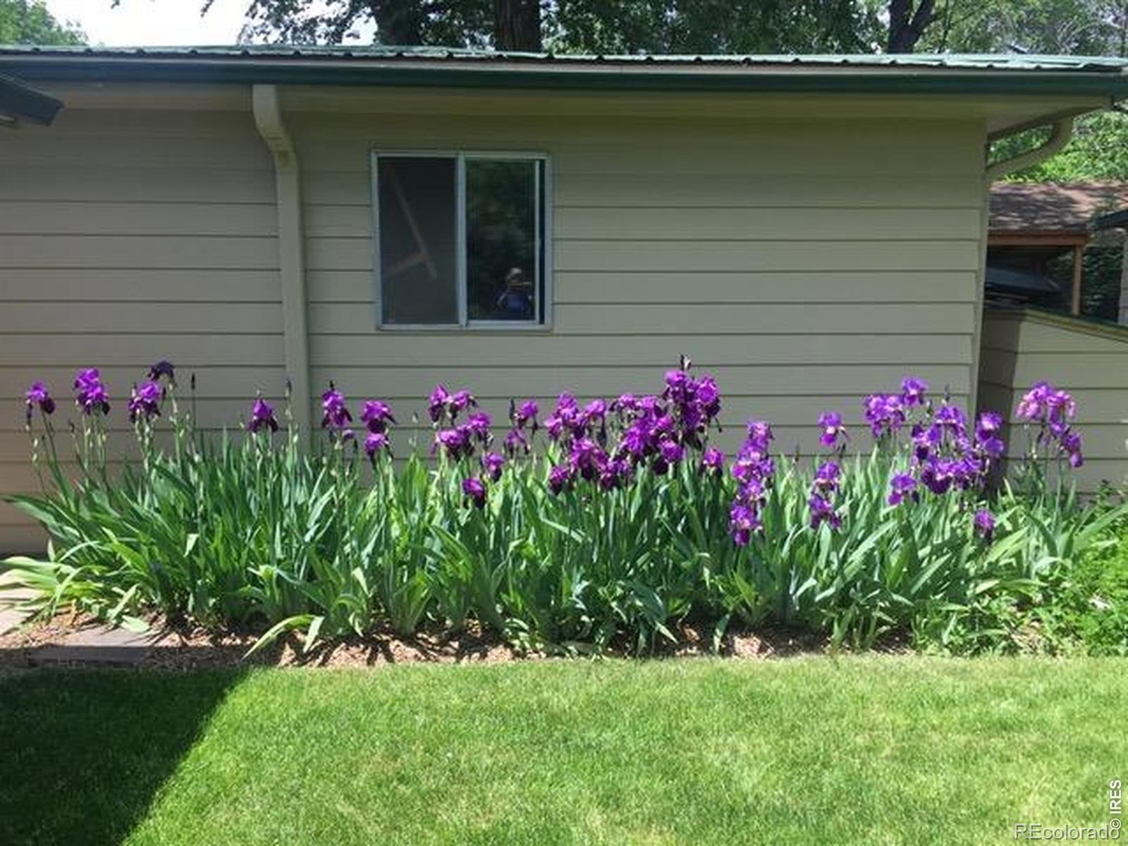MLS Image #5 for 3400  orchard drive,laporte, Colorado