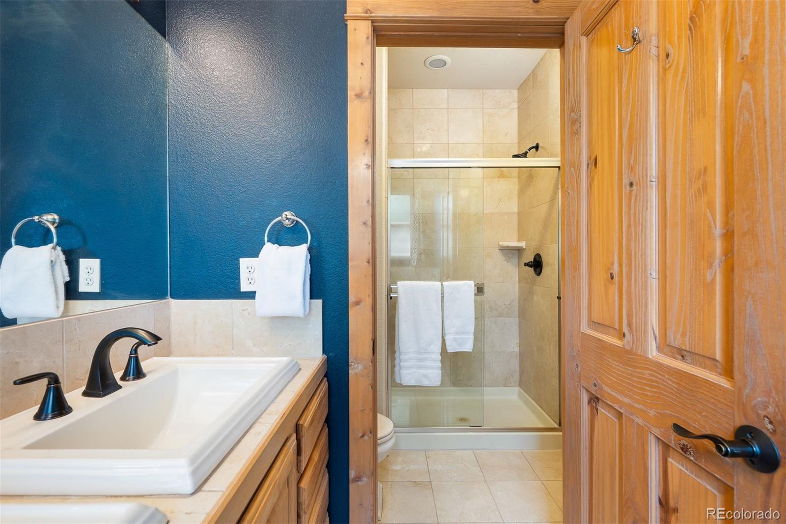 MLS Image #20 for 208  red quill way,winter park, Colorado