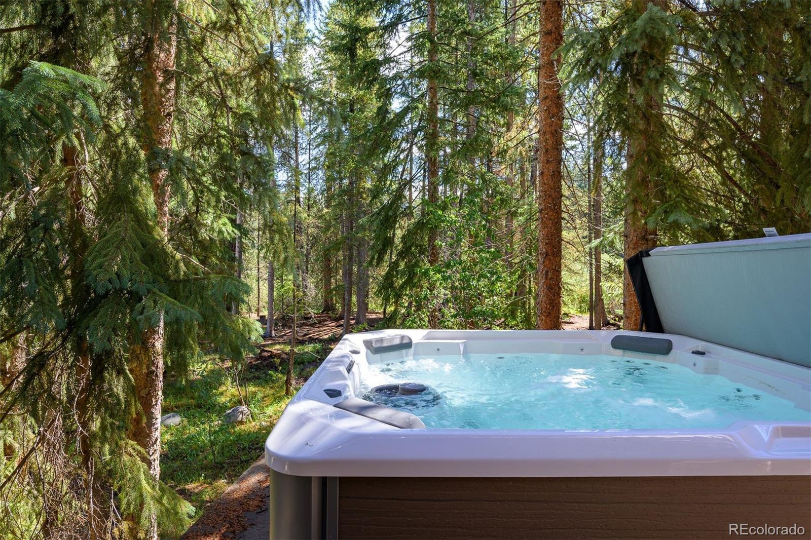 MLS Image #33 for 208  red quill way,winter park, Colorado