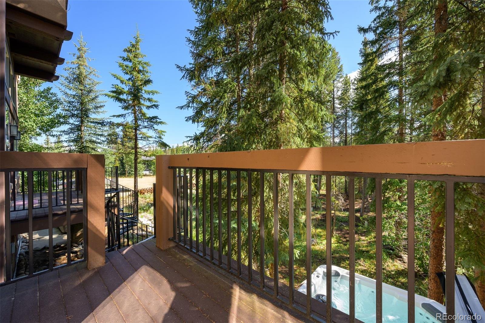 MLS Image #5 for 208  red quill way,winter park, Colorado