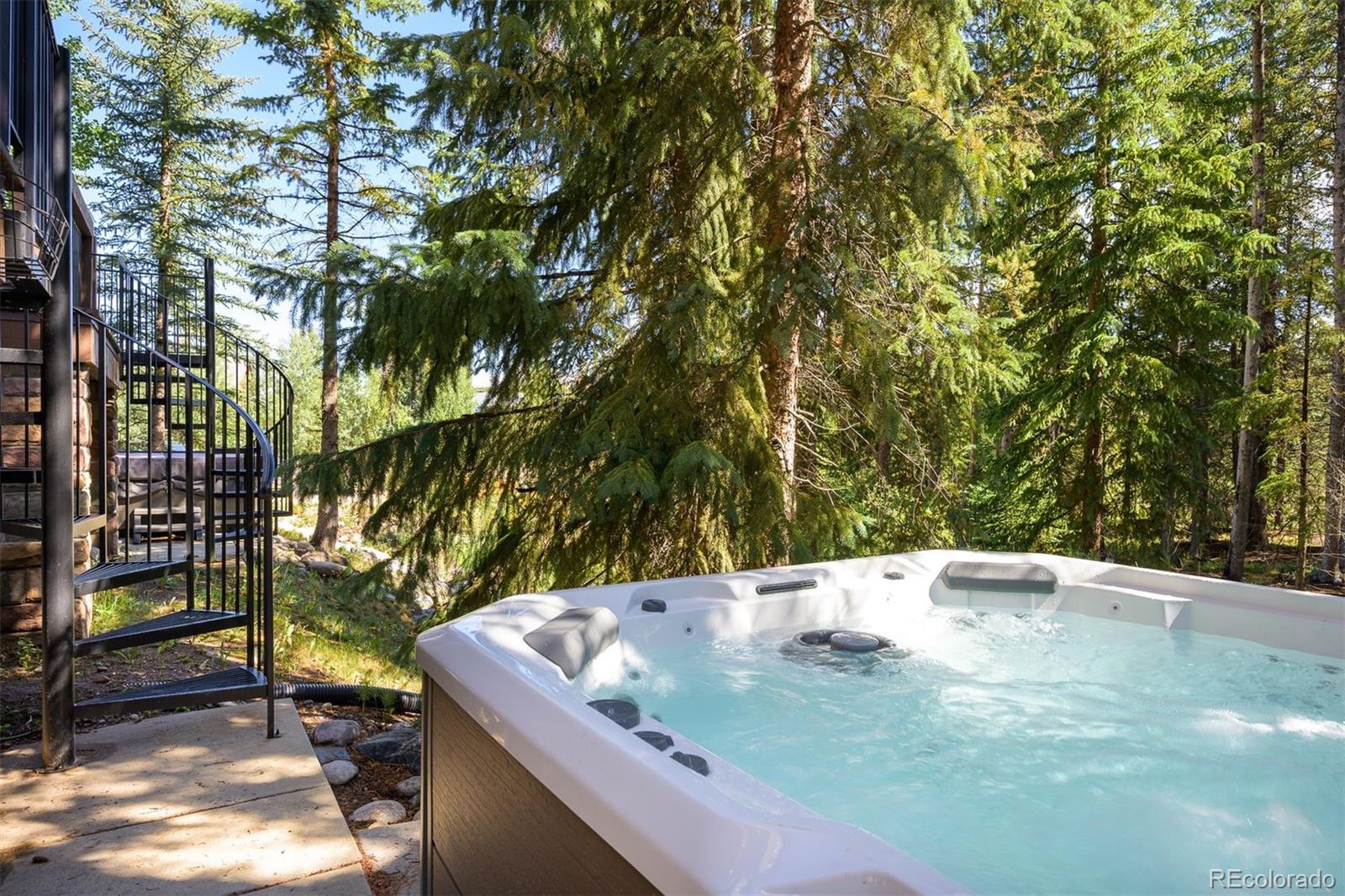 MLS Image #6 for 208  red quill way,winter park, Colorado