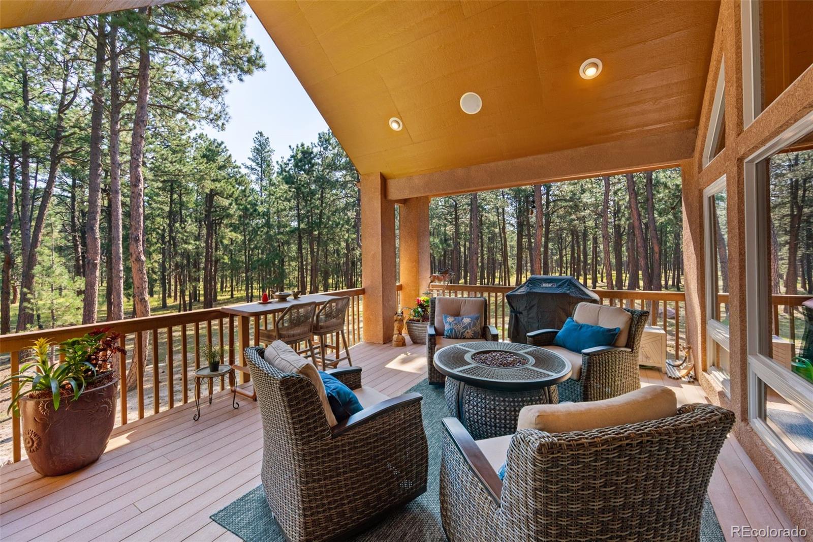 MLS Image #29 for 15984  pole pine point,colorado springs, Colorado