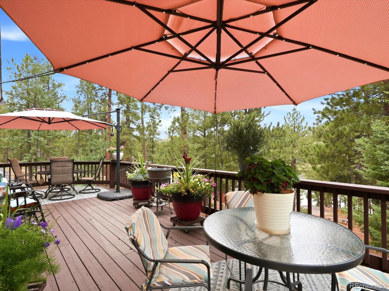 MLS Image #4 for 15026  pine lake drive,woodland park, Colorado