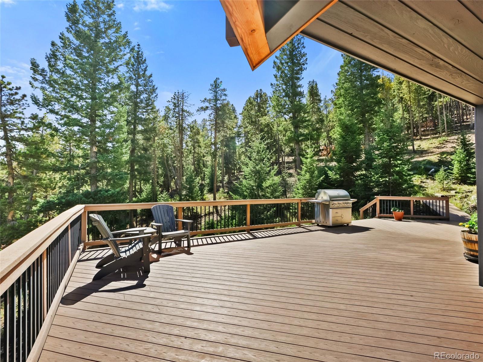 MLS Image #14 for 33992  meadow mountain road,evergreen, Colorado