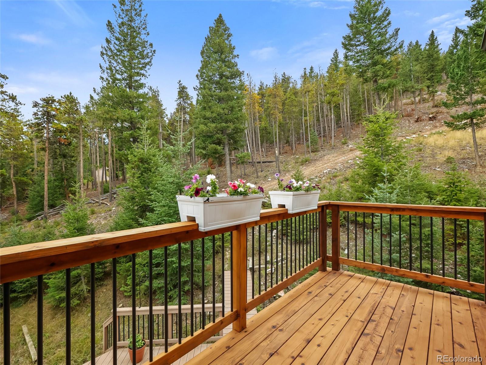 MLS Image #27 for 33992  meadow mountain road,evergreen, Colorado