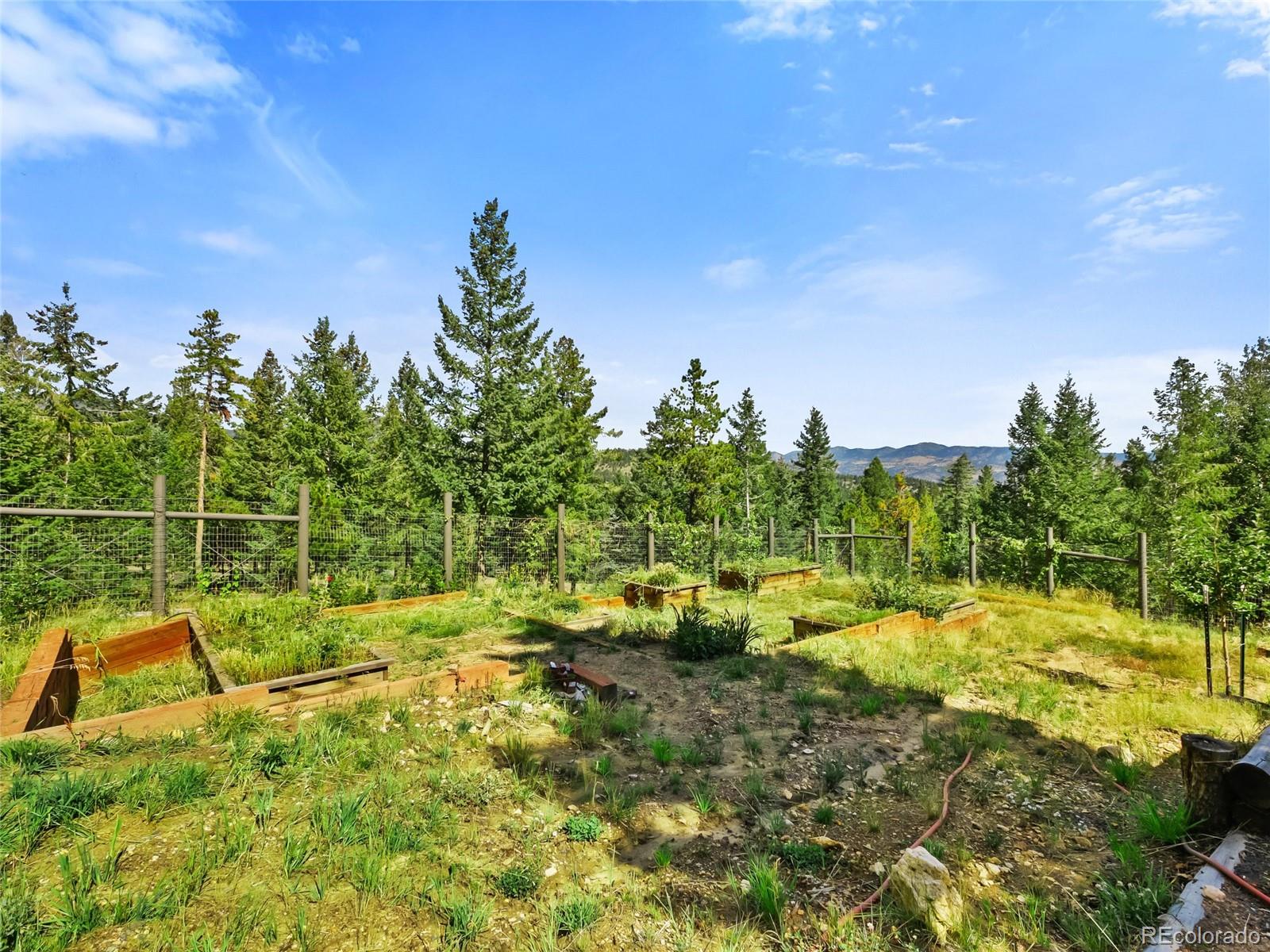 MLS Image #40 for 33992  meadow mountain road,evergreen, Colorado