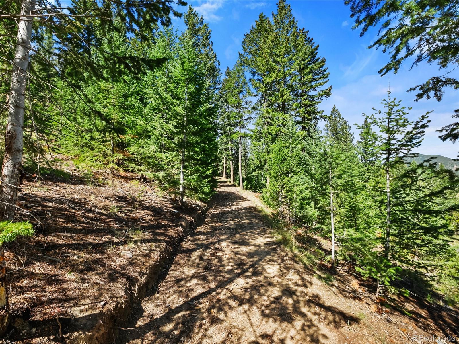 MLS Image #41 for 33992  meadow mountain road,evergreen, Colorado
