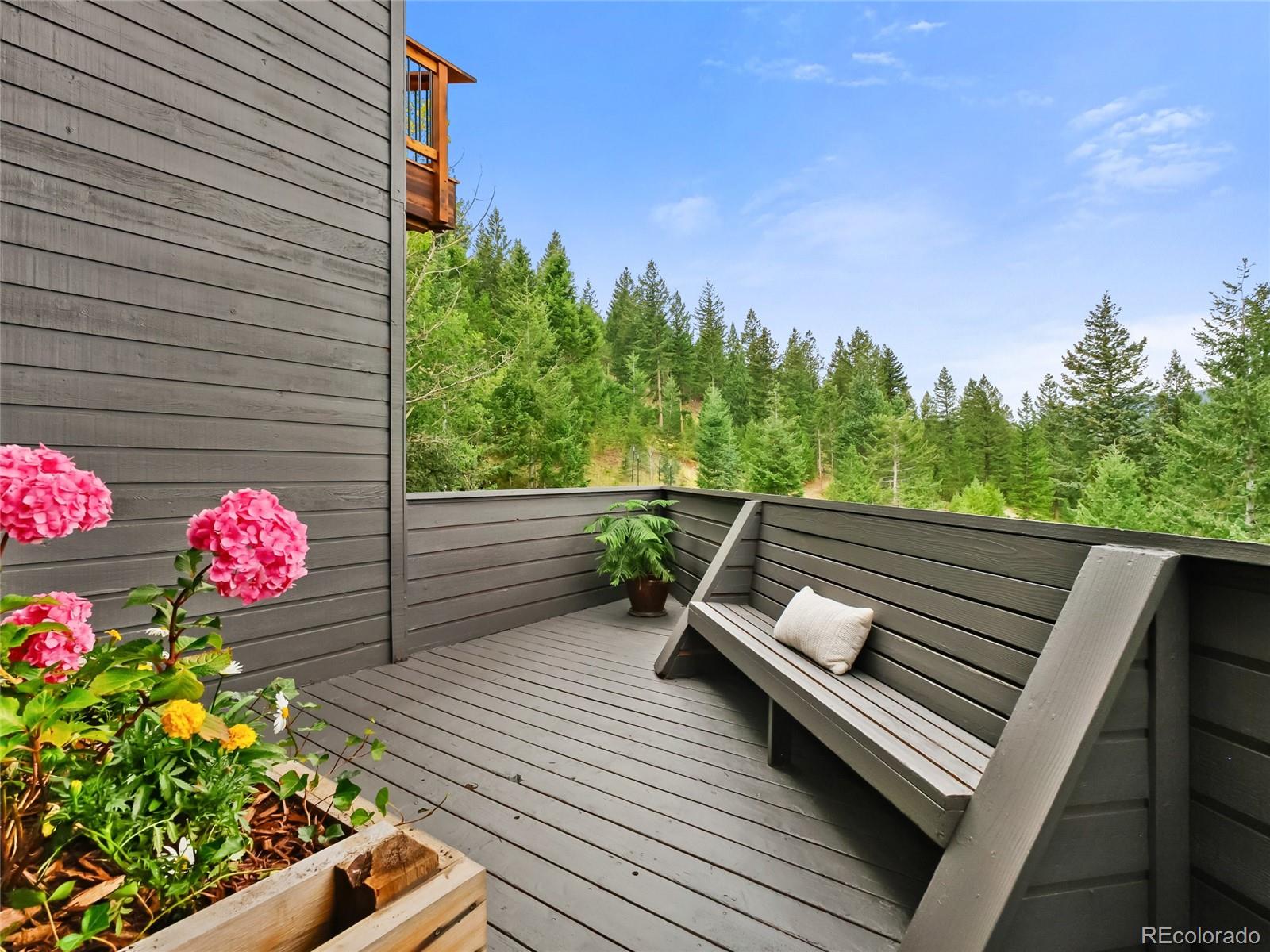 MLS Image #7 for 33992  meadow mountain road,evergreen, Colorado