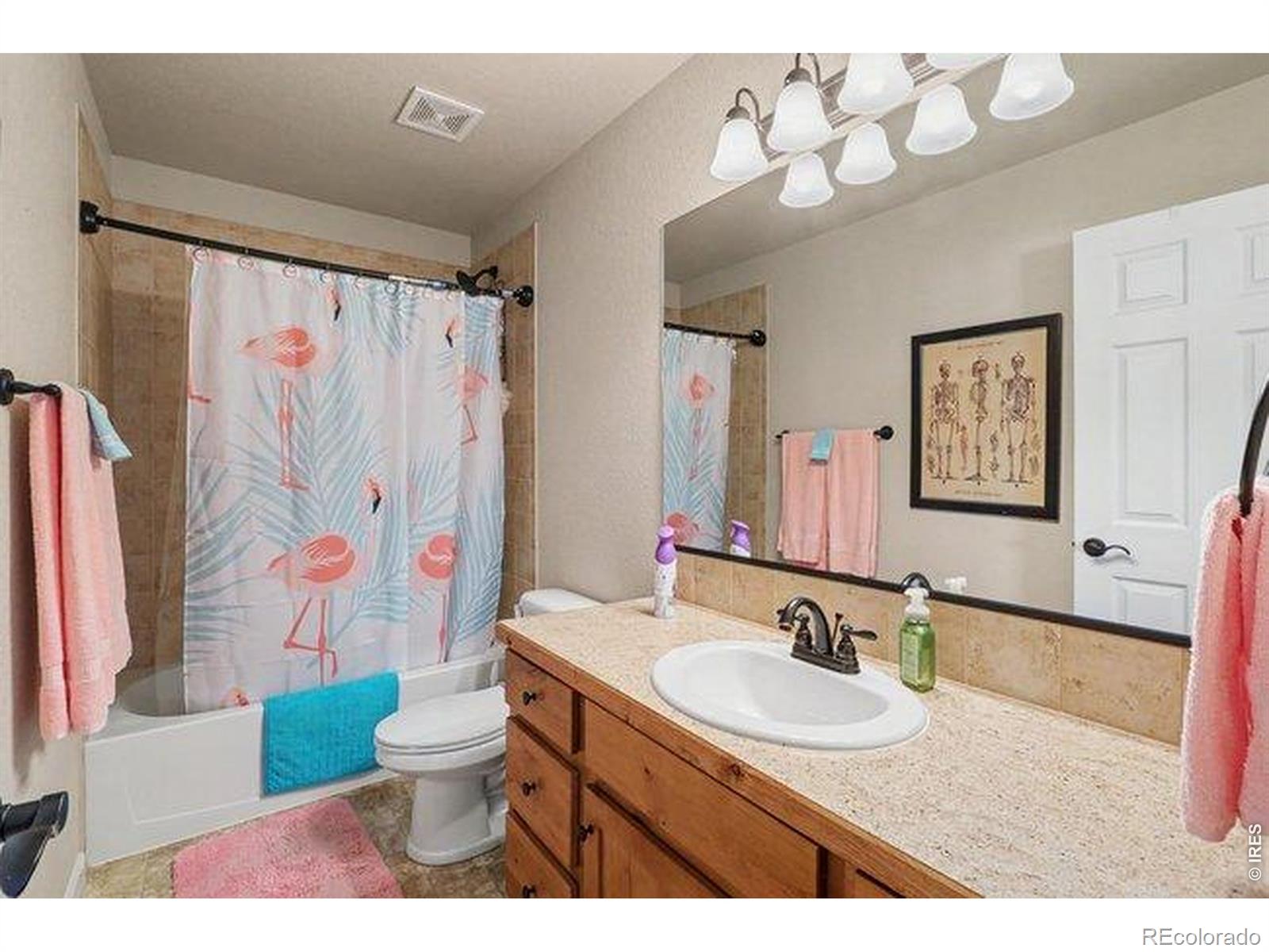 MLS Image #18 for 4400  paintbrush drive,evans, Colorado