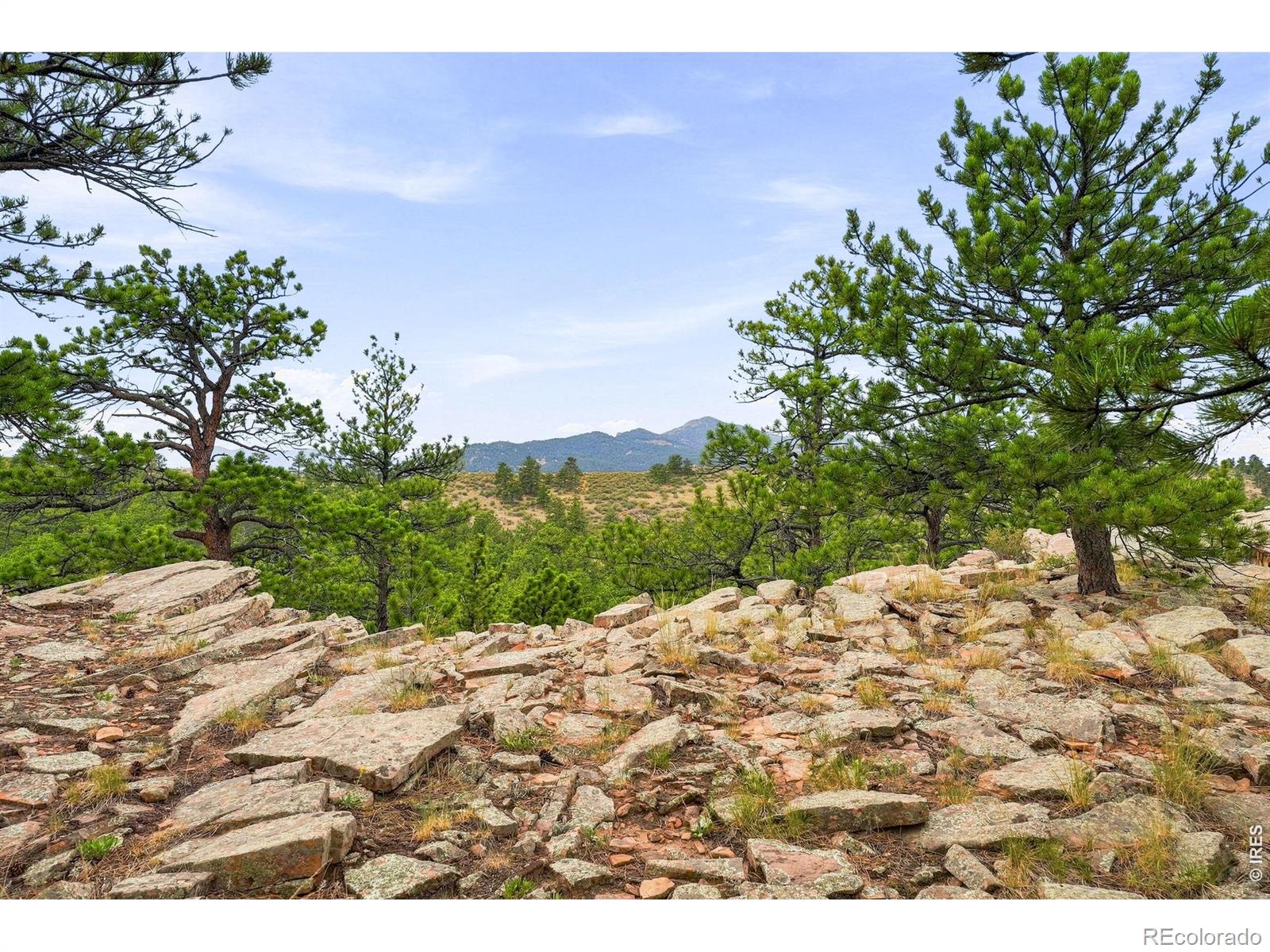 MLS Image #10 for 393  gunn avenue,berthoud, Colorado