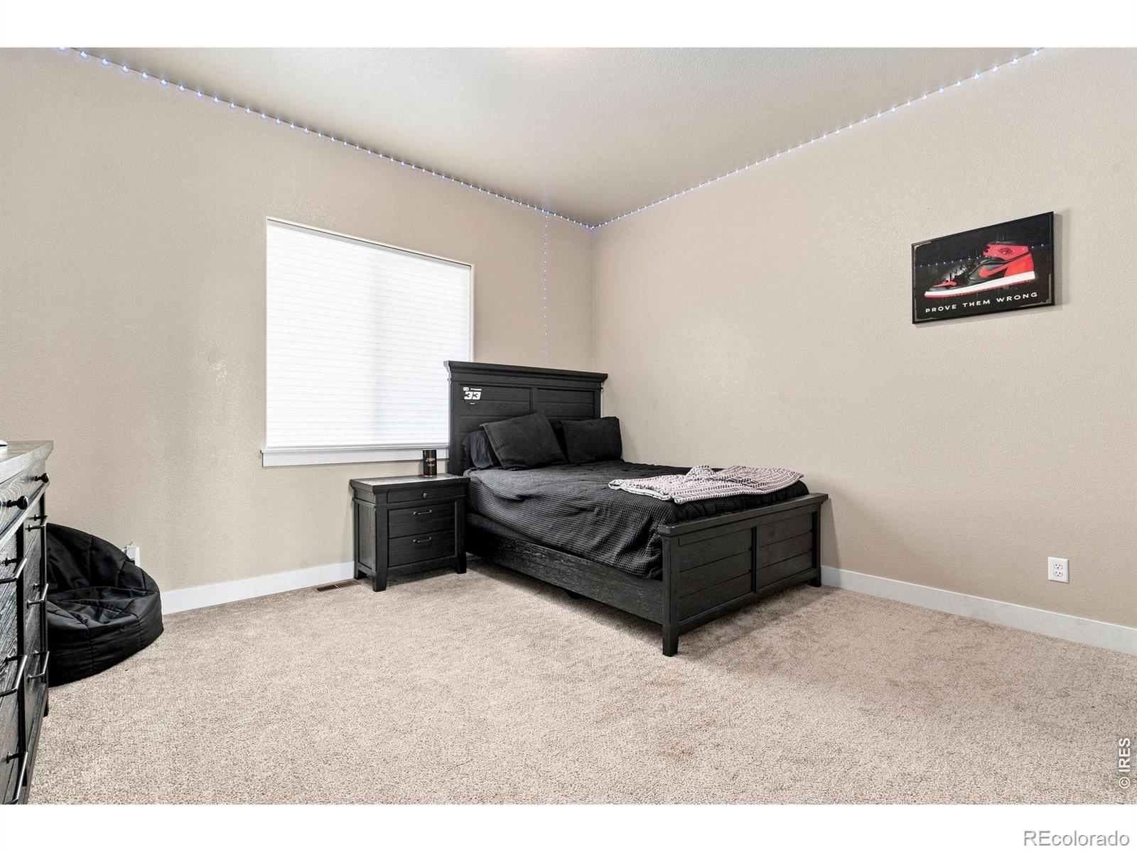 MLS Image #19 for 870  loess lane,windsor, Colorado