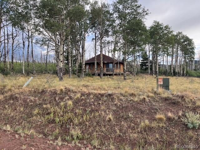 MLS Image #1 for 2424  petito drive,fort garland, Colorado