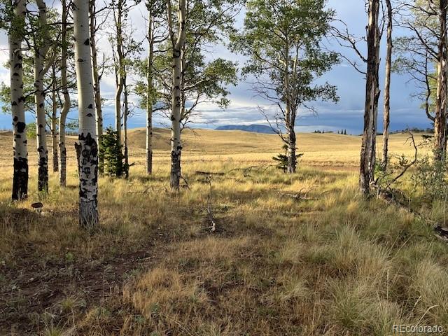 MLS Image #12 for 2424  petito drive,fort garland, Colorado