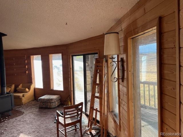 MLS Image #19 for 2424  petito drive,fort garland, Colorado