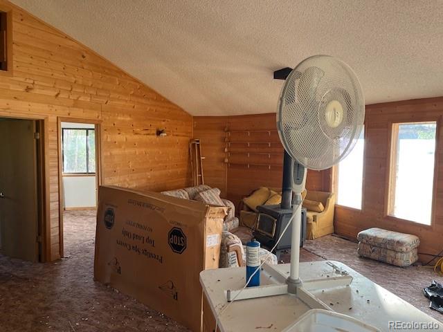 MLS Image #22 for 2424  petito drive,fort garland, Colorado