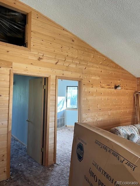 MLS Image #23 for 2424  petito drive,fort garland, Colorado