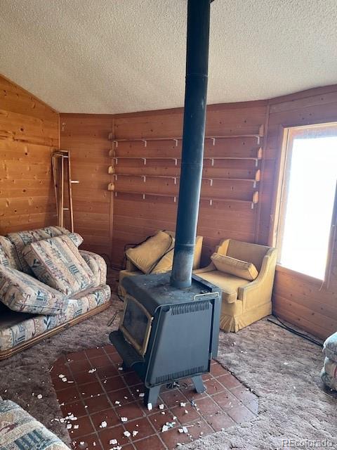 MLS Image #24 for 2424  petito drive,fort garland, Colorado