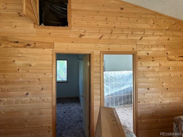 MLS Image #27 for 2424  petito drive,fort garland, Colorado