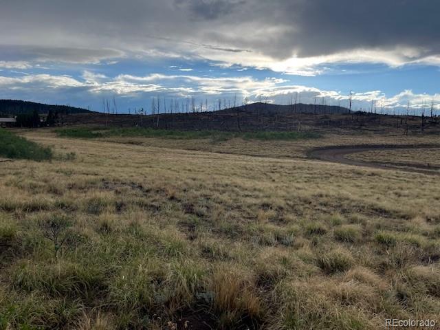 MLS Image #3 for 2424  petito drive,fort garland, Colorado