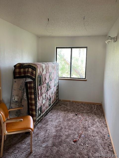 MLS Image #32 for 2424  petito drive,fort garland, Colorado