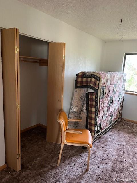 MLS Image #33 for 2424  petito drive,fort garland, Colorado