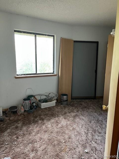 MLS Image #35 for 2424  petito drive,fort garland, Colorado