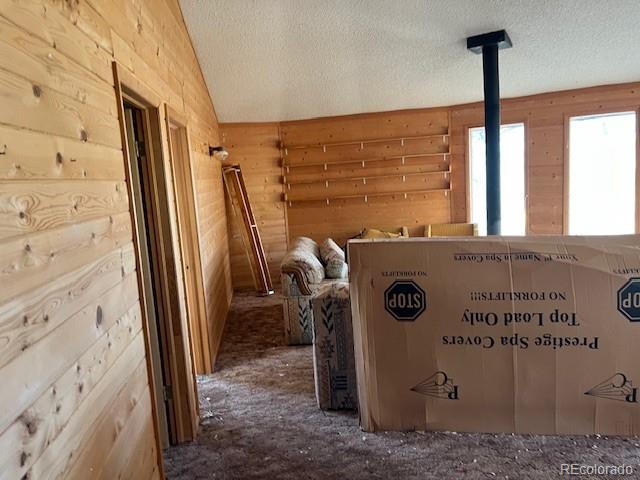 MLS Image #38 for 2424  petito drive,fort garland, Colorado