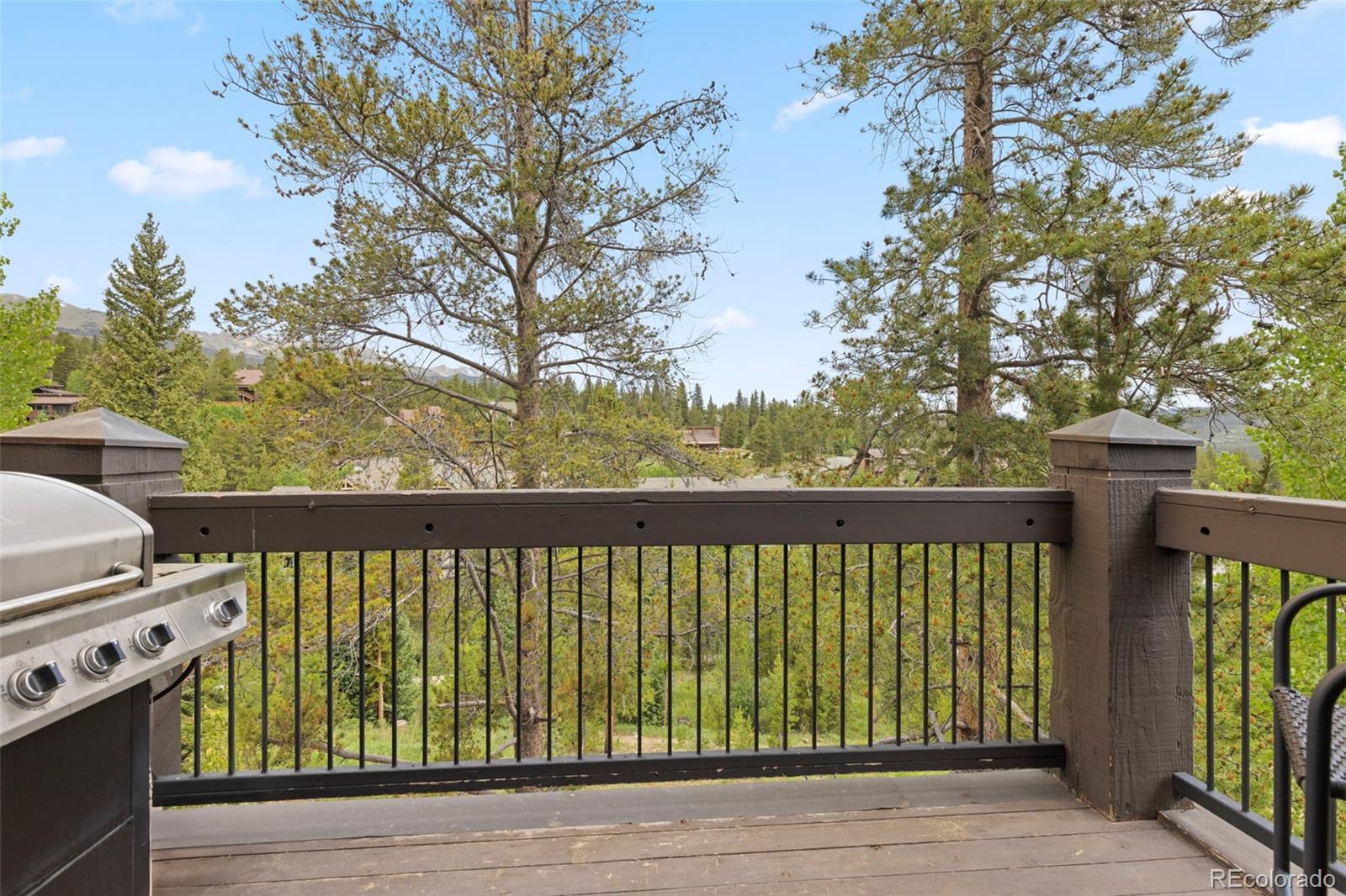 MLS Image #17 for 48  bluff court,breckenridge, Colorado